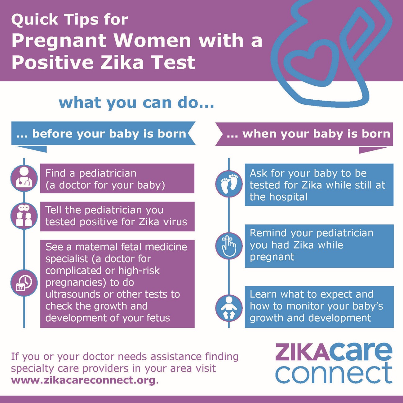 Info - Zika Infographic